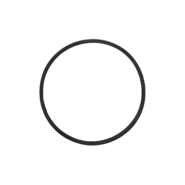 Уплотнительное кольцо двери автоклава Euronda | Euronda (Италия)